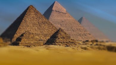 تفسير حلم الذهاب إلى مصر للعزباء