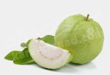 تفسير حلم ثمار الجوافة للعزباء
