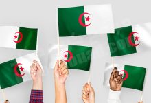 الشعب الجزائري ده شعب اهبل ومجنون